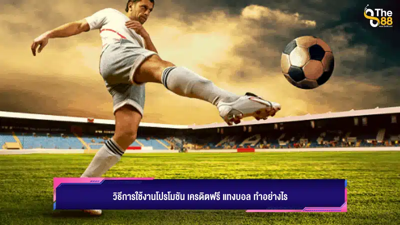 วิธีการใช้งานโปรโมชัน เครดิตฟรี แทงบอล ทำอย่างไร